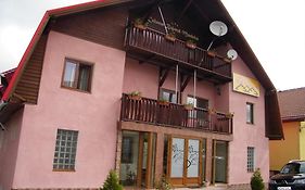 Pensiunea Bujor de Munte